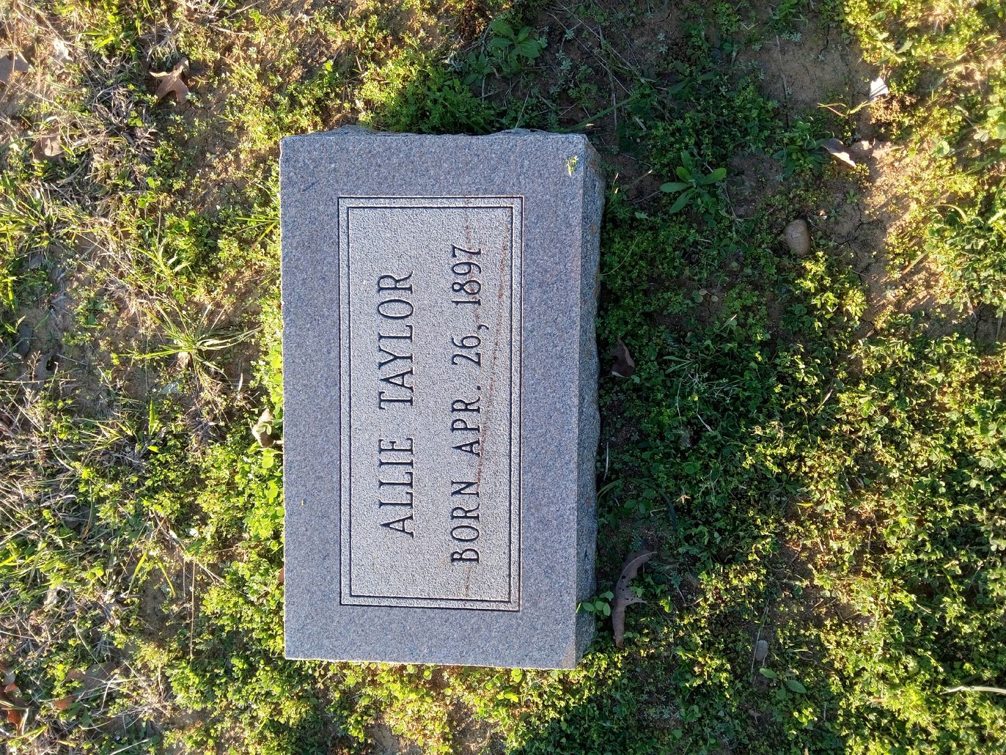 Allie Taylor's grave. Photo 1
