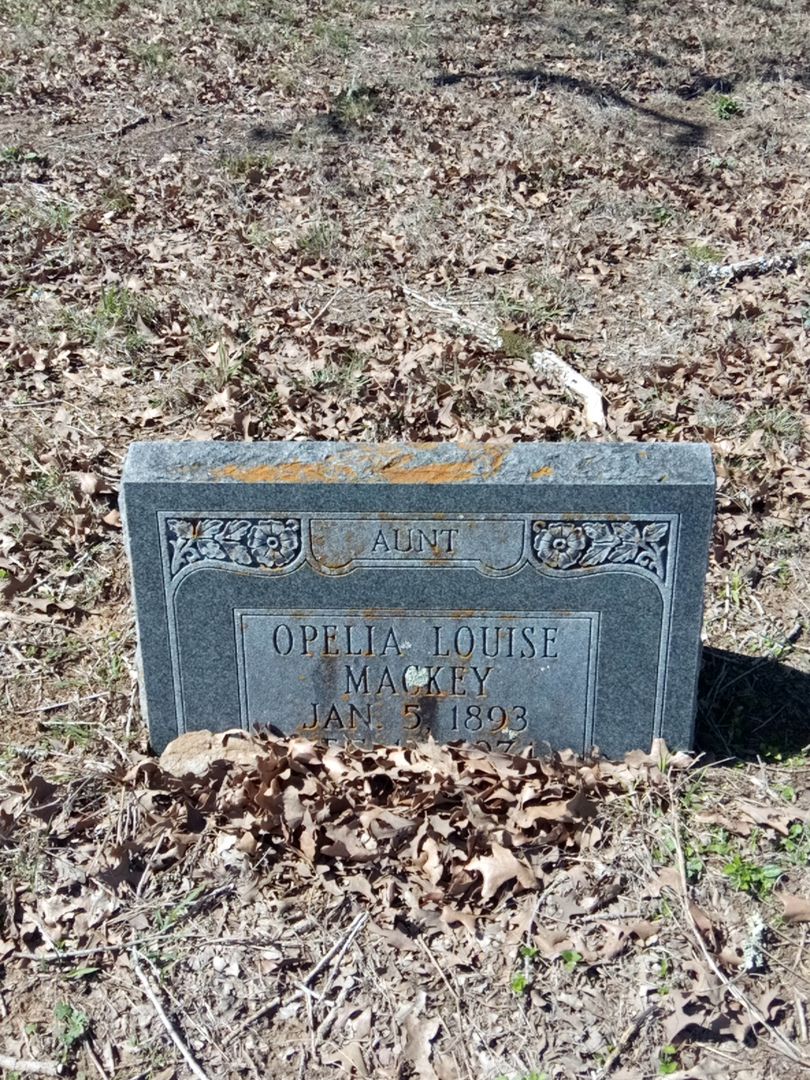 Opelia Louise MacKey's grave. Photo 1